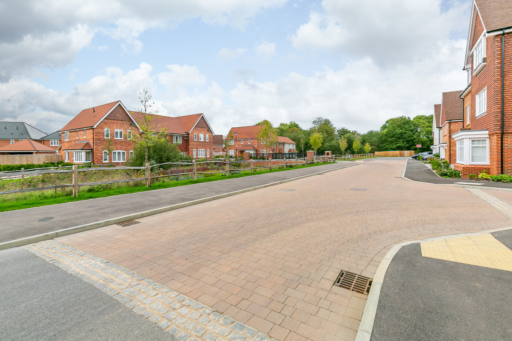 Image 22
