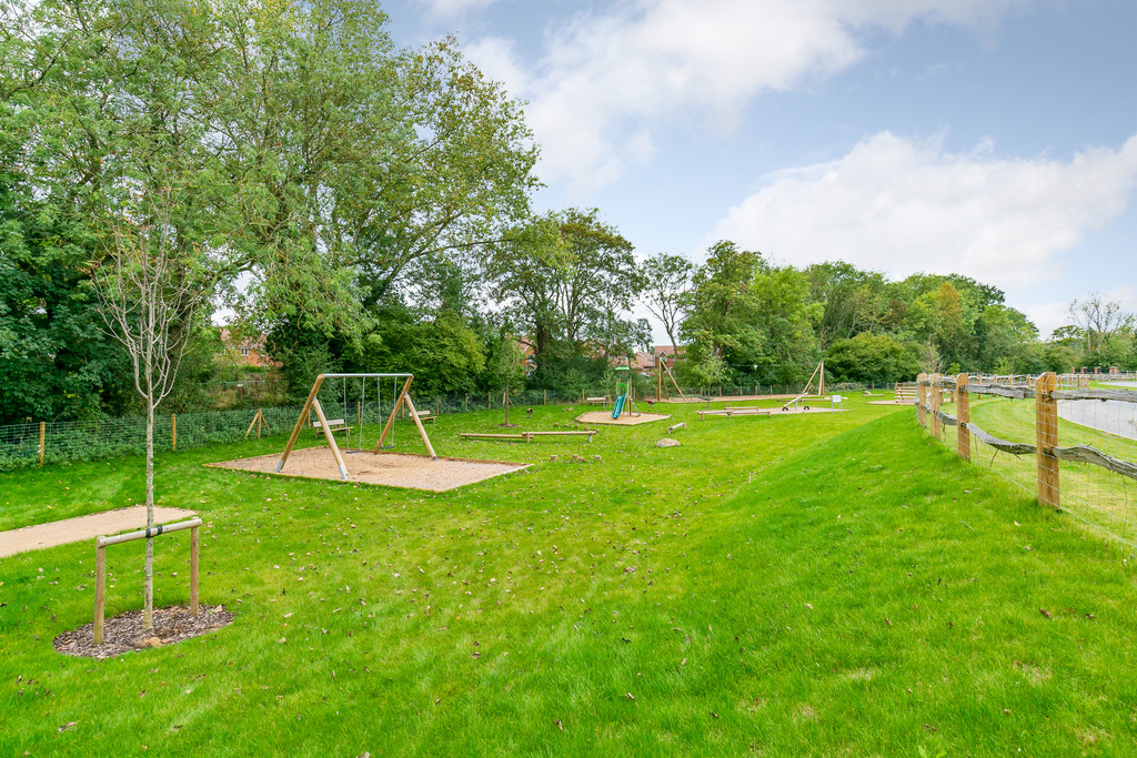 Image 20