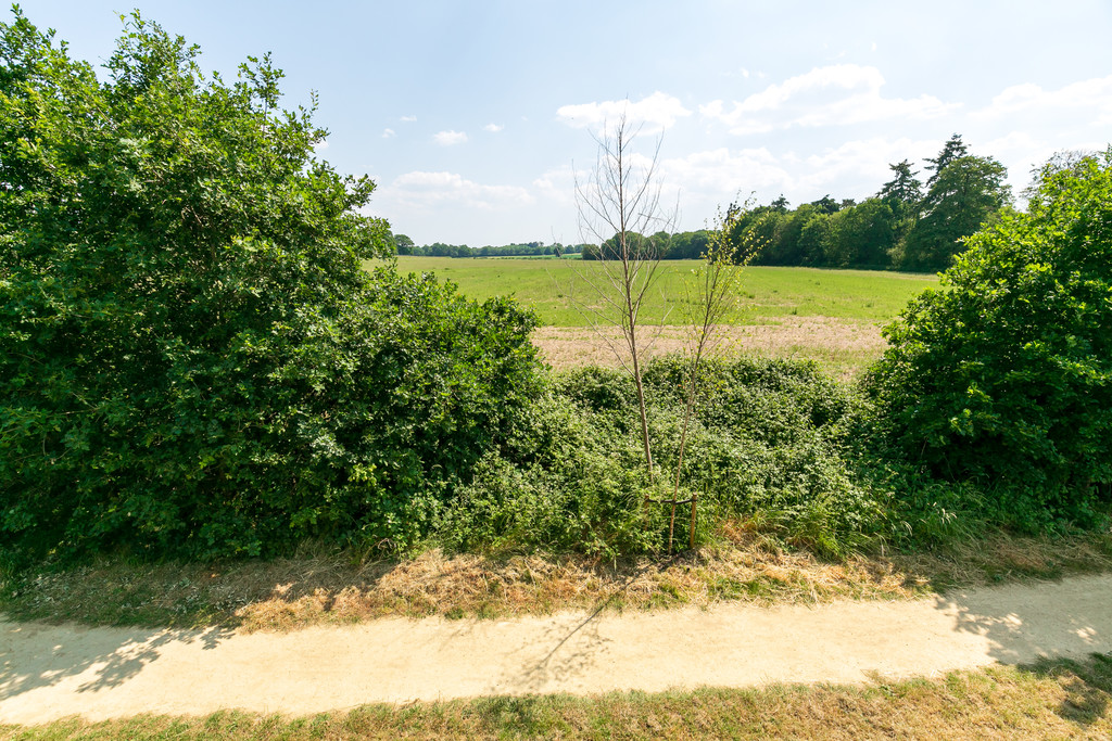 Image 13