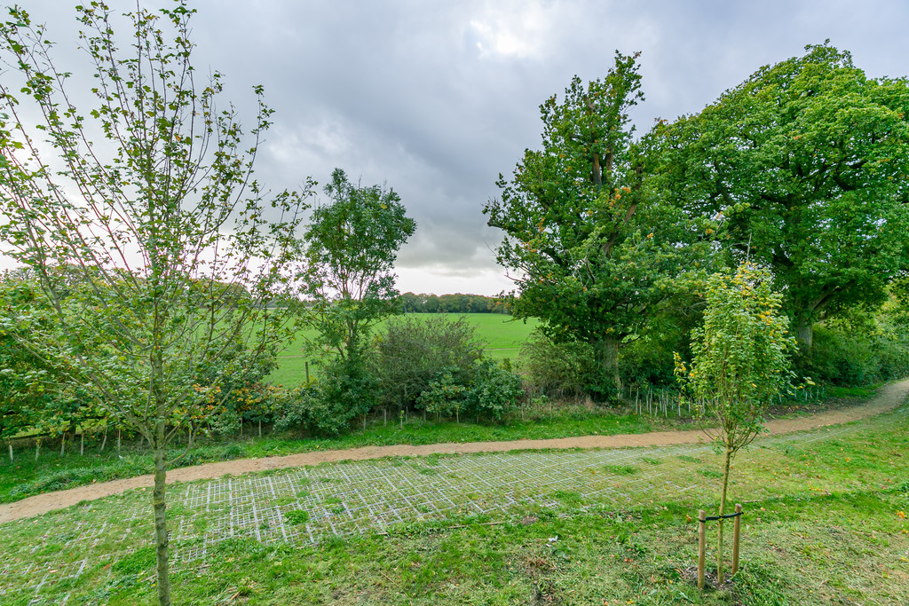 Image 23