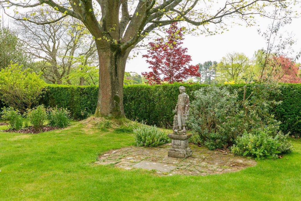 Image 36