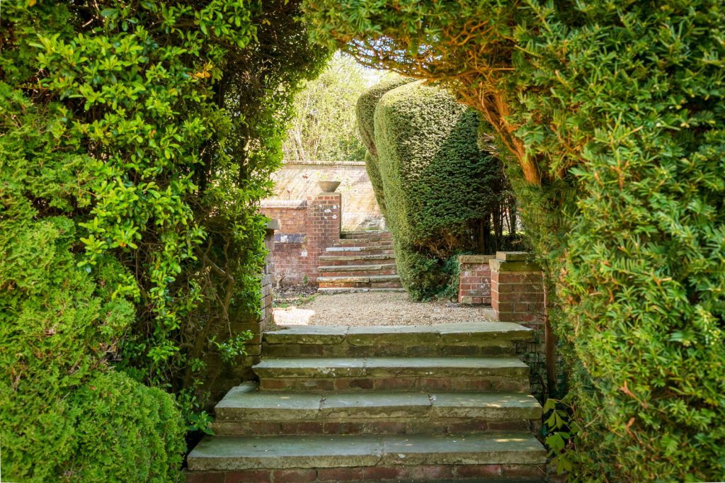 Image 21