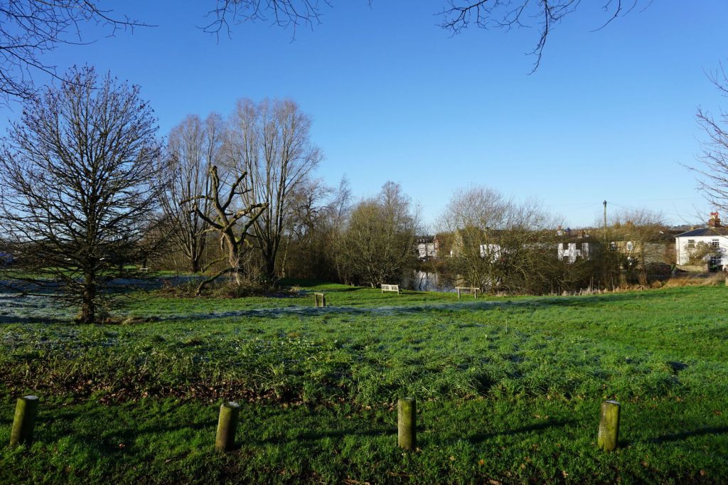 Image 11