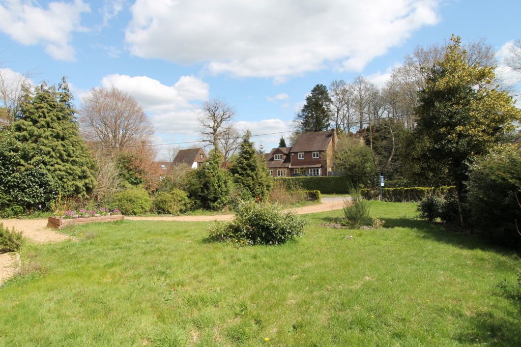 Image 13