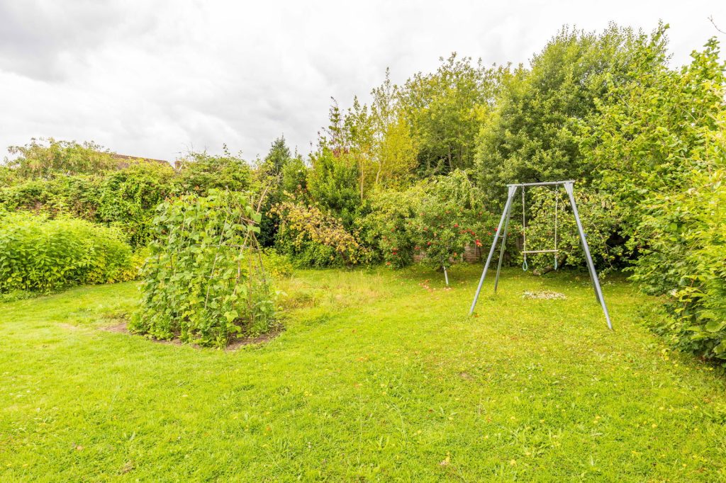 Image 13