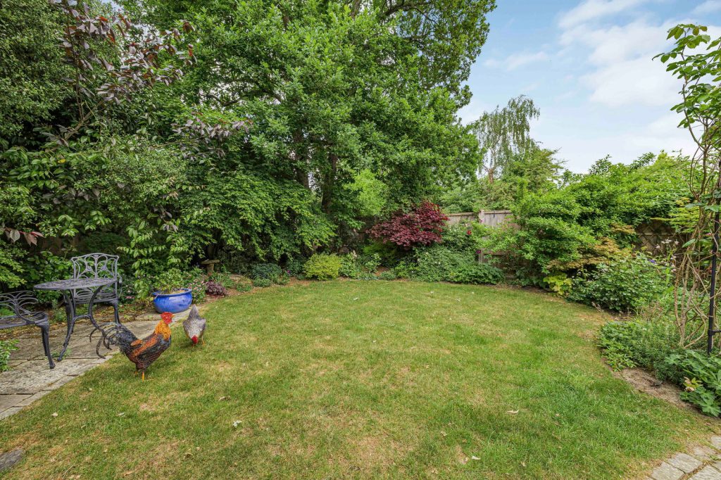 Image 26