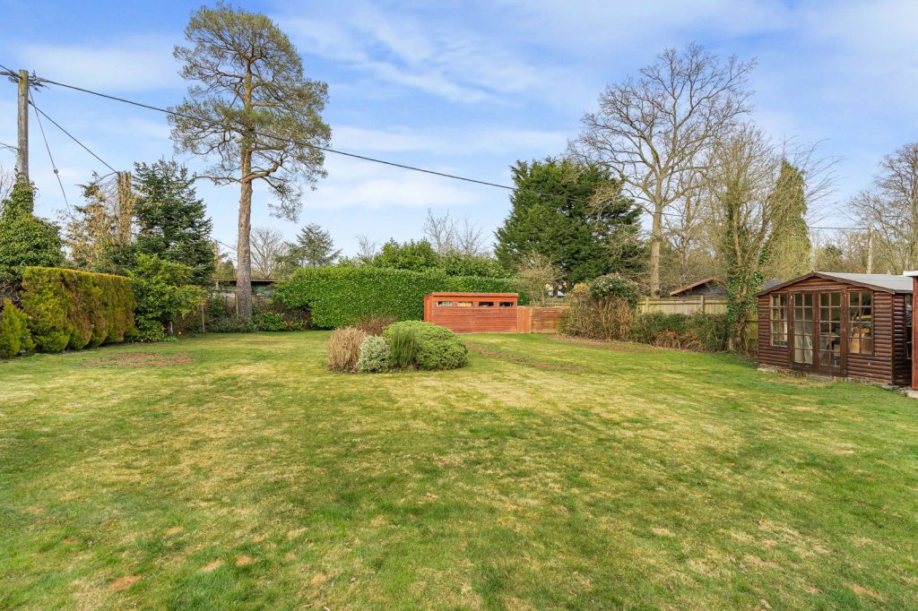 Image 20