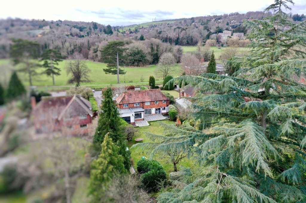 Image 17