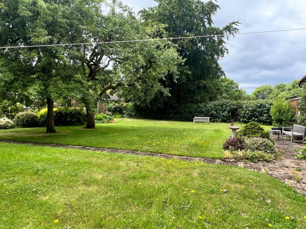 Image 18