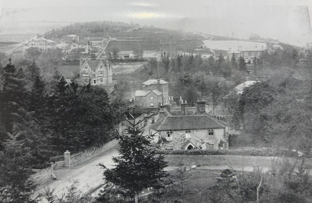 Image 37