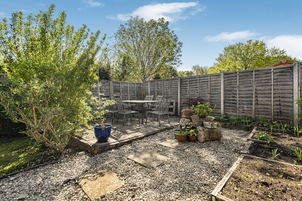Image 15