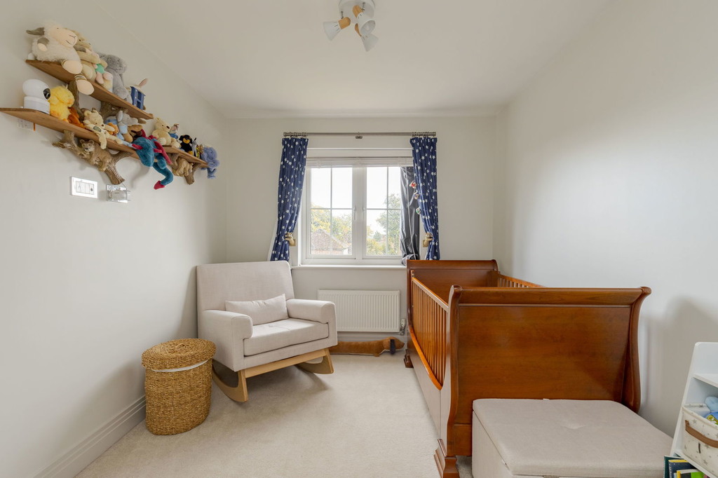 Image 11