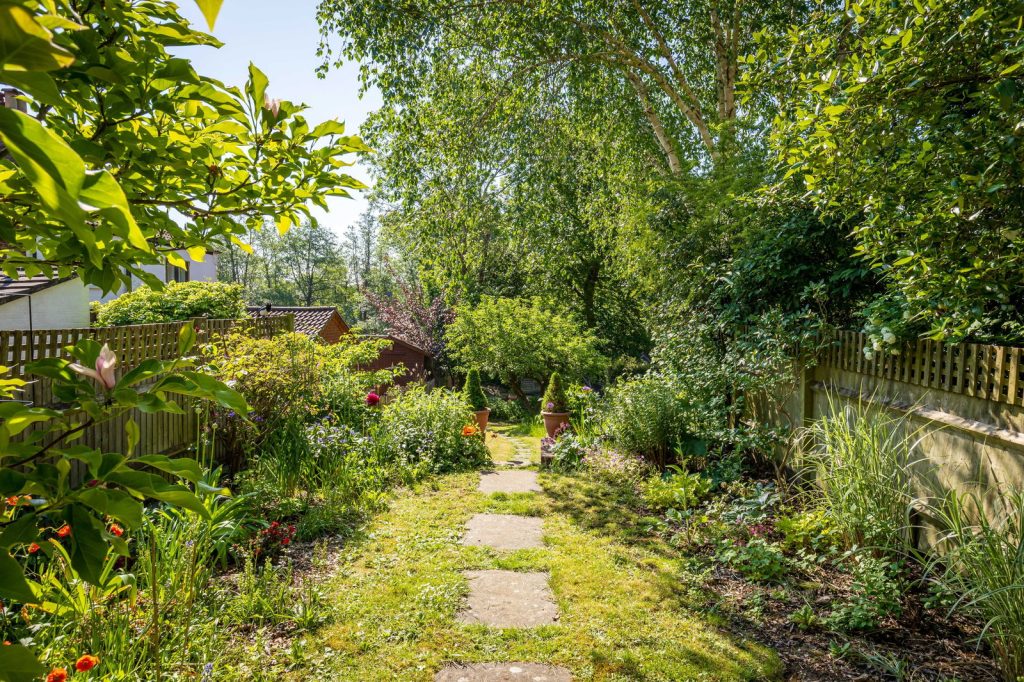 Image 14