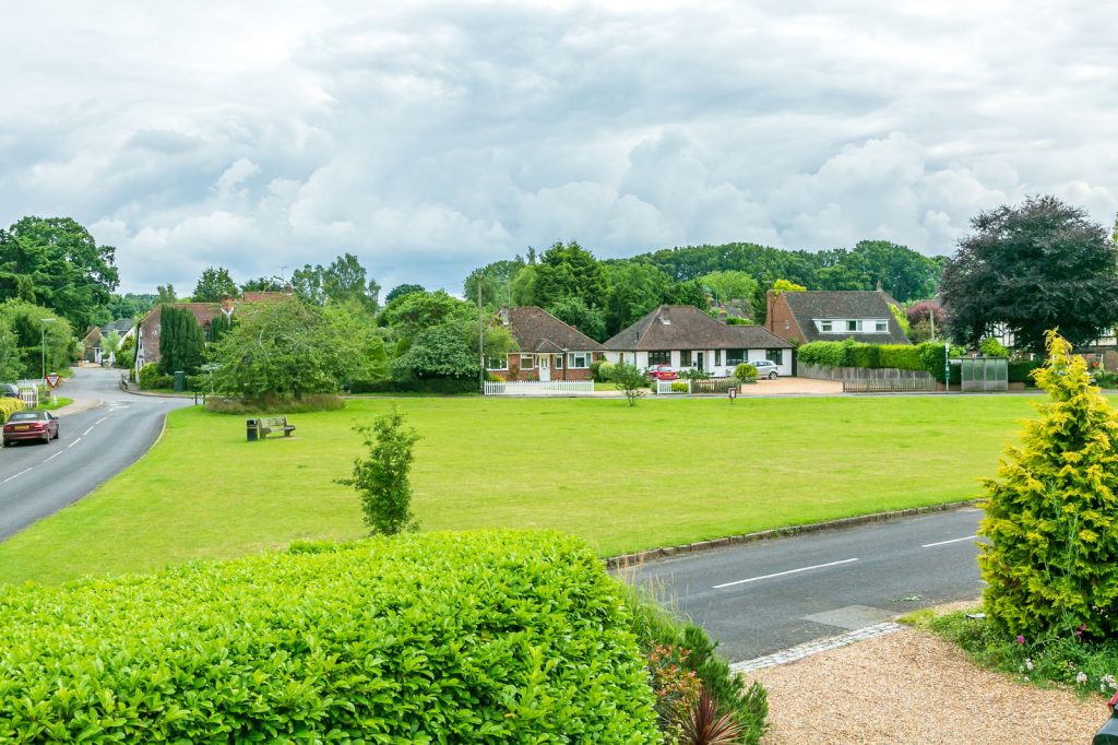 Image 15