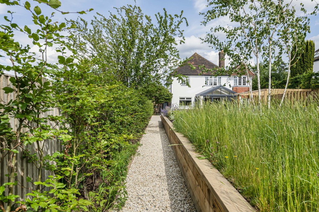 Image 18