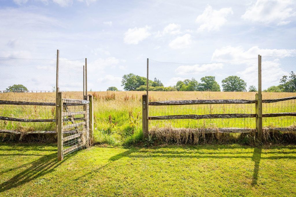 Image 29