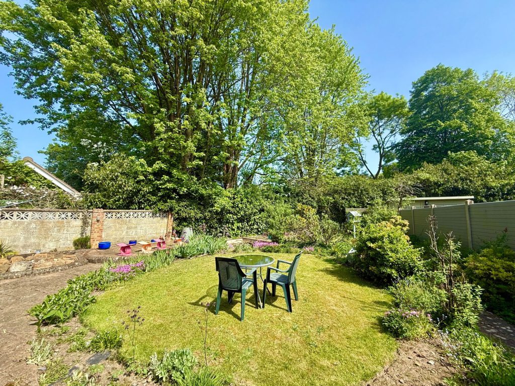 Image 13