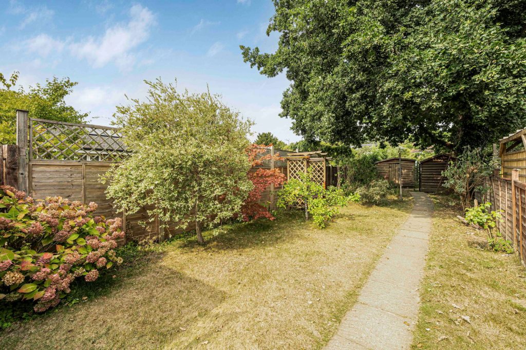 Image 21