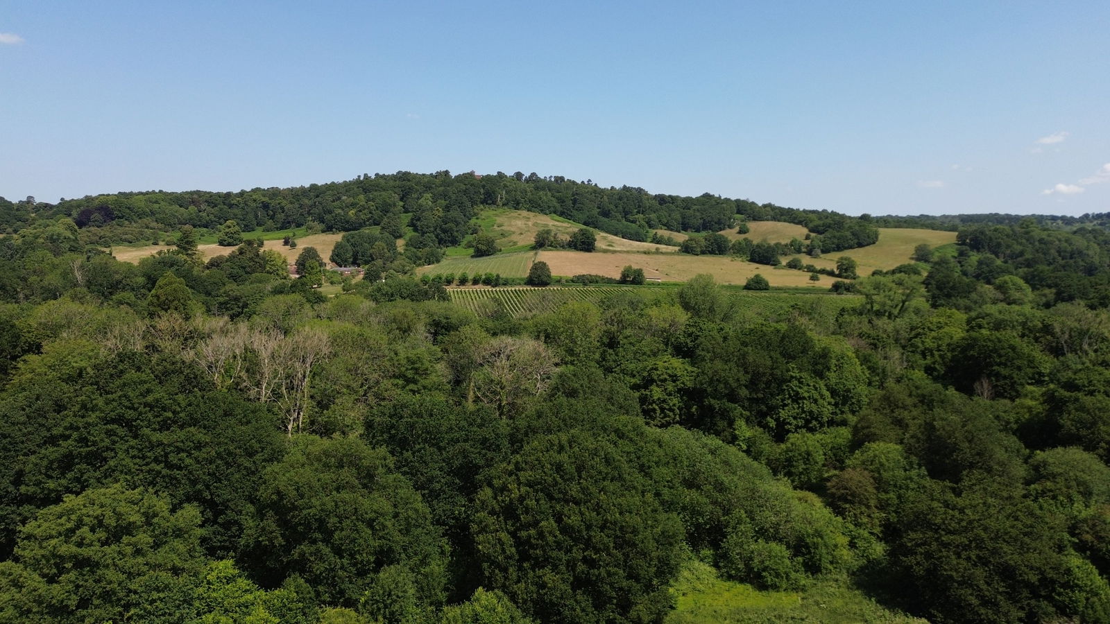 Jubilee Field, South St Martha’s Hill, Chilworth, GU4