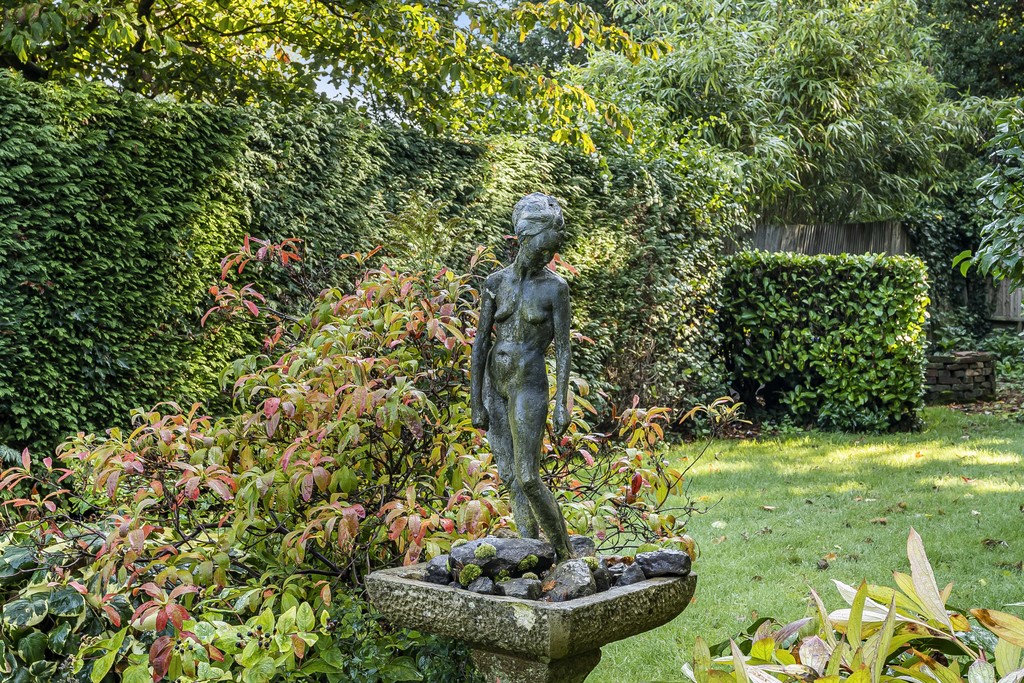 Image 31